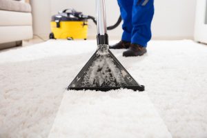 GreenChoice Carpet Cleaning manhattan