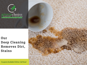 manhattan Guaranteed Stain Removal For Area Rug Cleaning