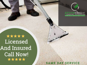 manhattan Professional Carpet Cleaning