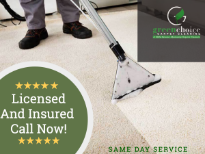 Our Professional Carpet Cleaning In New York City