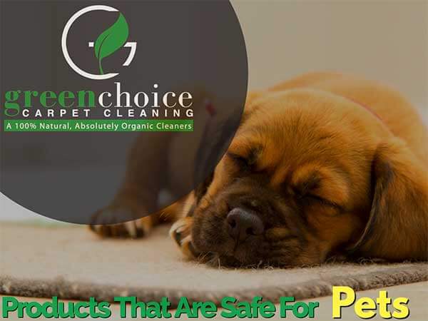 Our Product Is 100 Organic Dog Safe Pet Safe In NYC